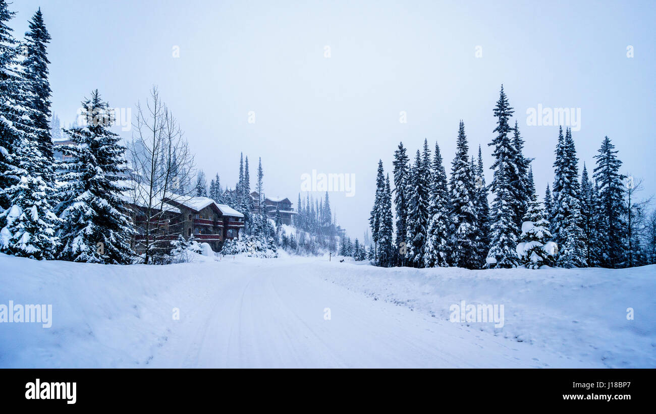 Ski community in the serene Alpine Village in the Shuswap Highlands in beautiful British Columbia, Canada Stock Photo