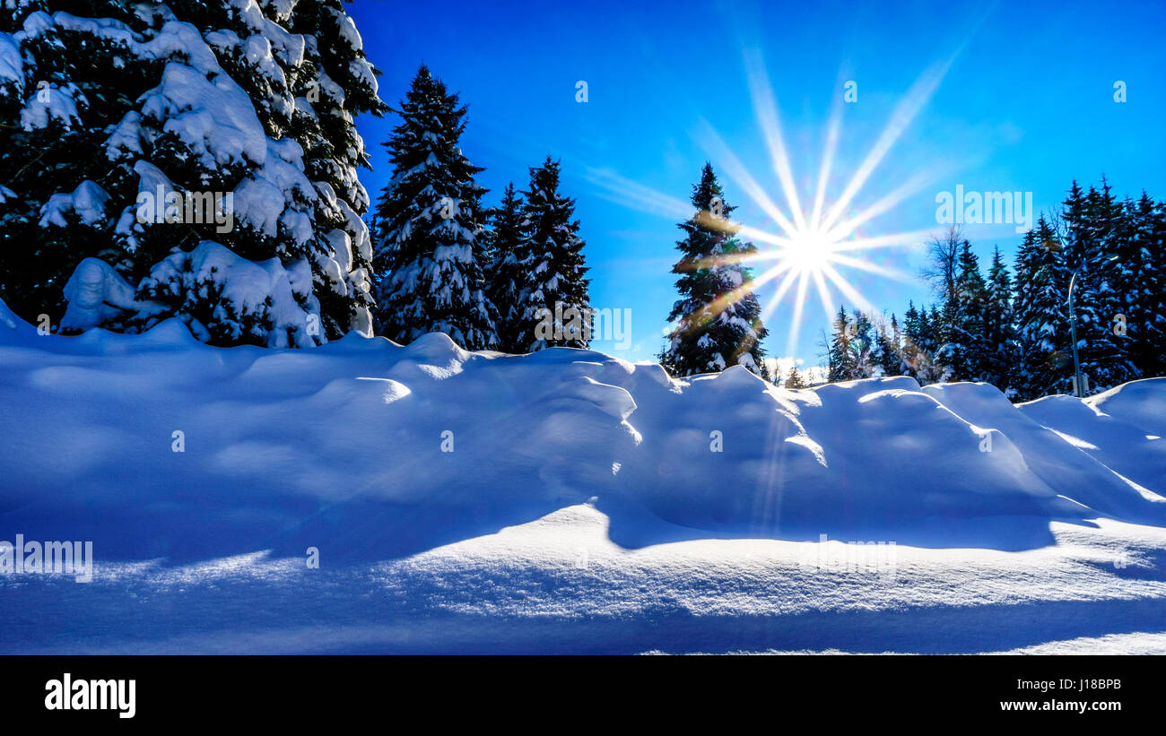 Majestic winter landscape with the scenery of a sunny golden sunset over the forest on the beautiful mountain of Sun Peaks, British Columbia, Canada Stock Photo