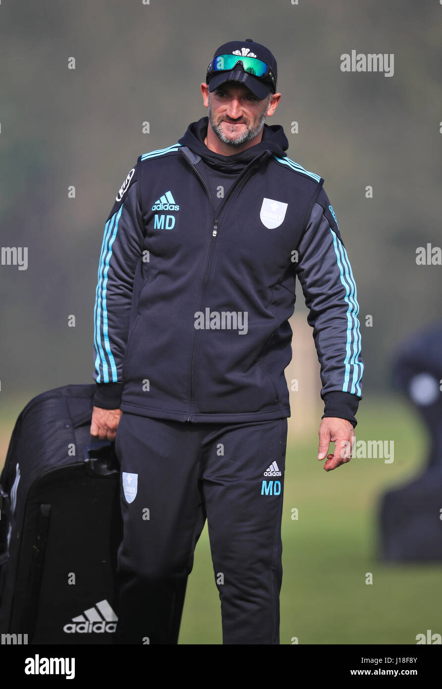 Surrey coach Michael Di Venuto Stock Photo Alamy