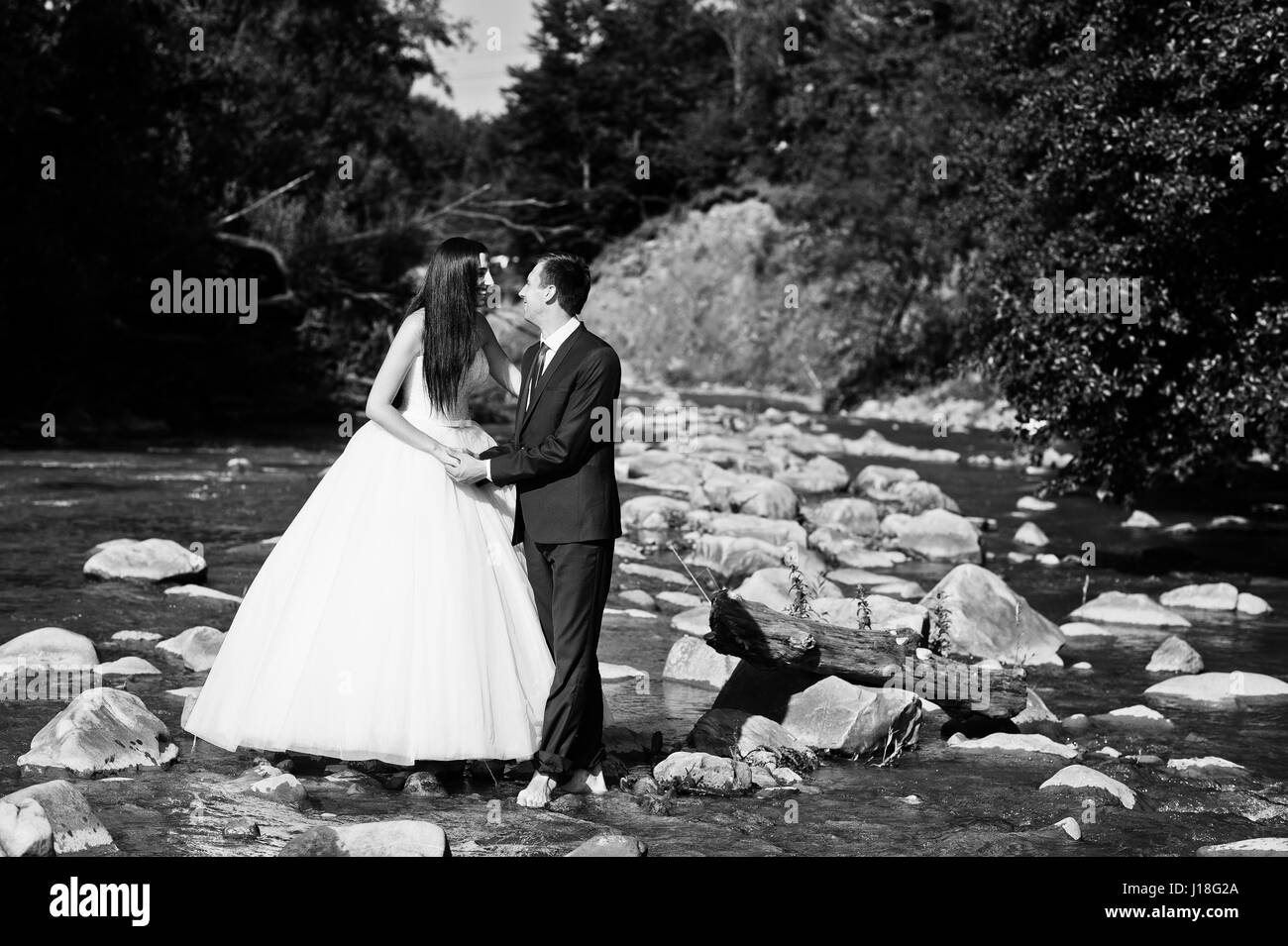 Lovely wedding couple at amazing landscapes stay on mountain river. Stock Photo