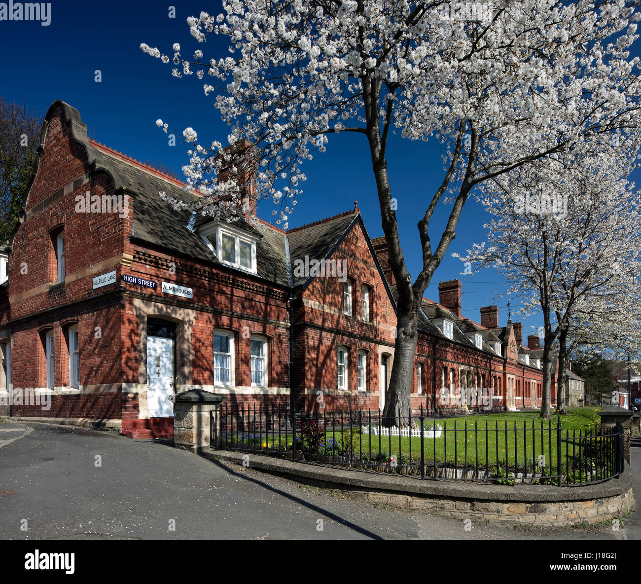 Cherry blossom trees in Newburn village, Newcastle upon Tyne, North