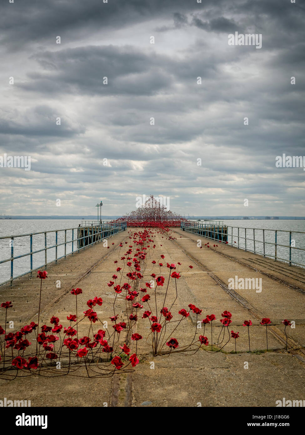 Poppies Wave is an art installation by artist Paul Cummins on display at Barge Pier in Gunners Park, Shoeburyness, Essex as part of a tour of the UK. Stock Photo