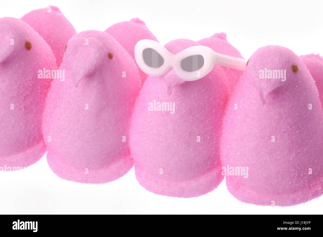 Peeps marshmallow chick candy, classic springtime or Easter treat. One individual peep stands out from the crowd, wearing sunglasses. Stock Photo
