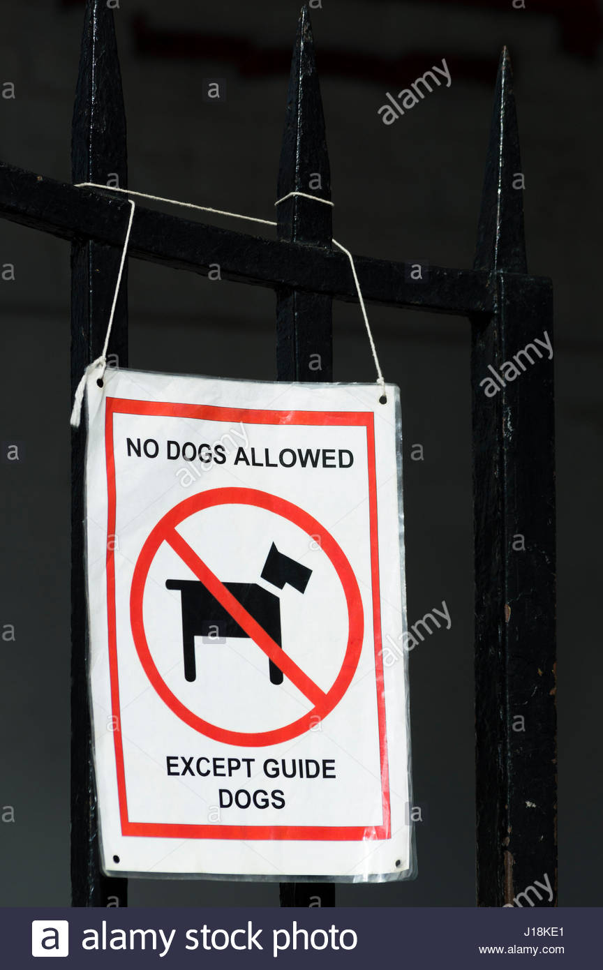 Guide Dogs Stock Photos & Guide Dogs Stock Images Alamy