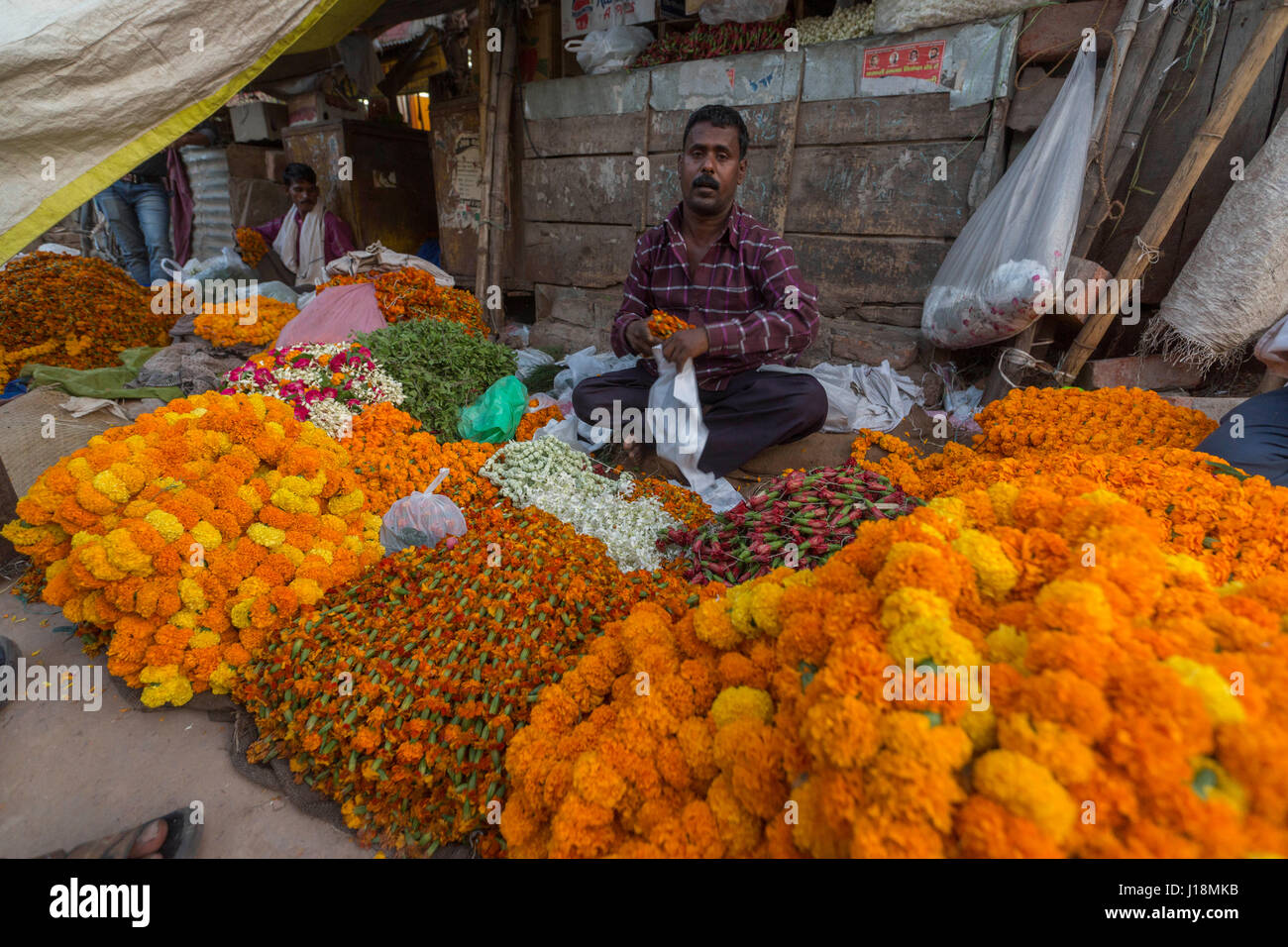 Flower vendor, varanasi, uttar pradesh, india, asia Stock Photo Alamy