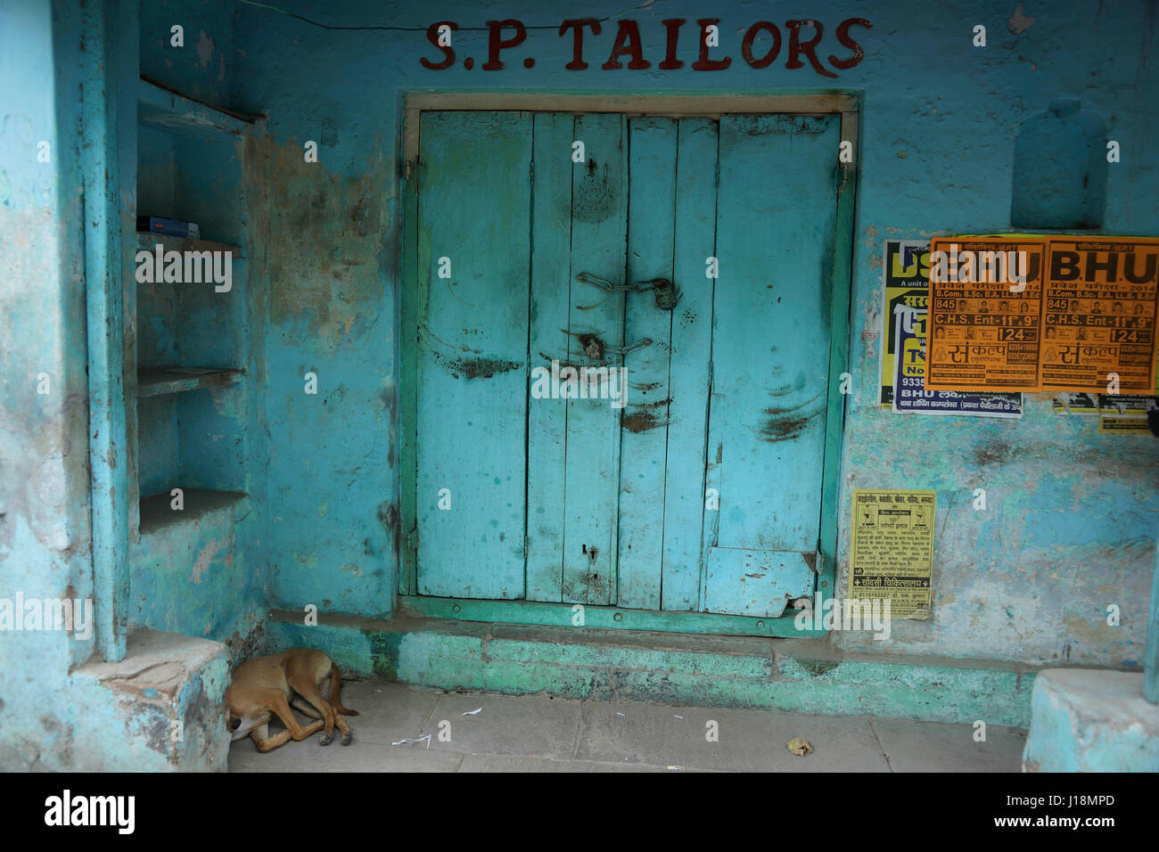Dog sleeping in front of house, varanasi, uttar pradesh, india, asia