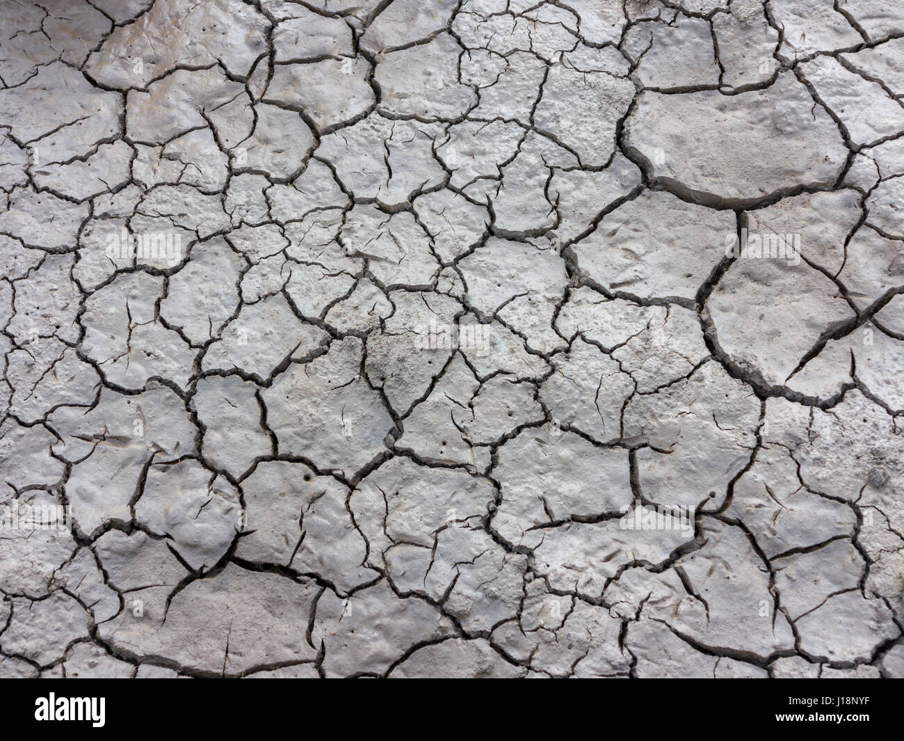 Close up area of dry cracked and crazed mud Stock Photo
