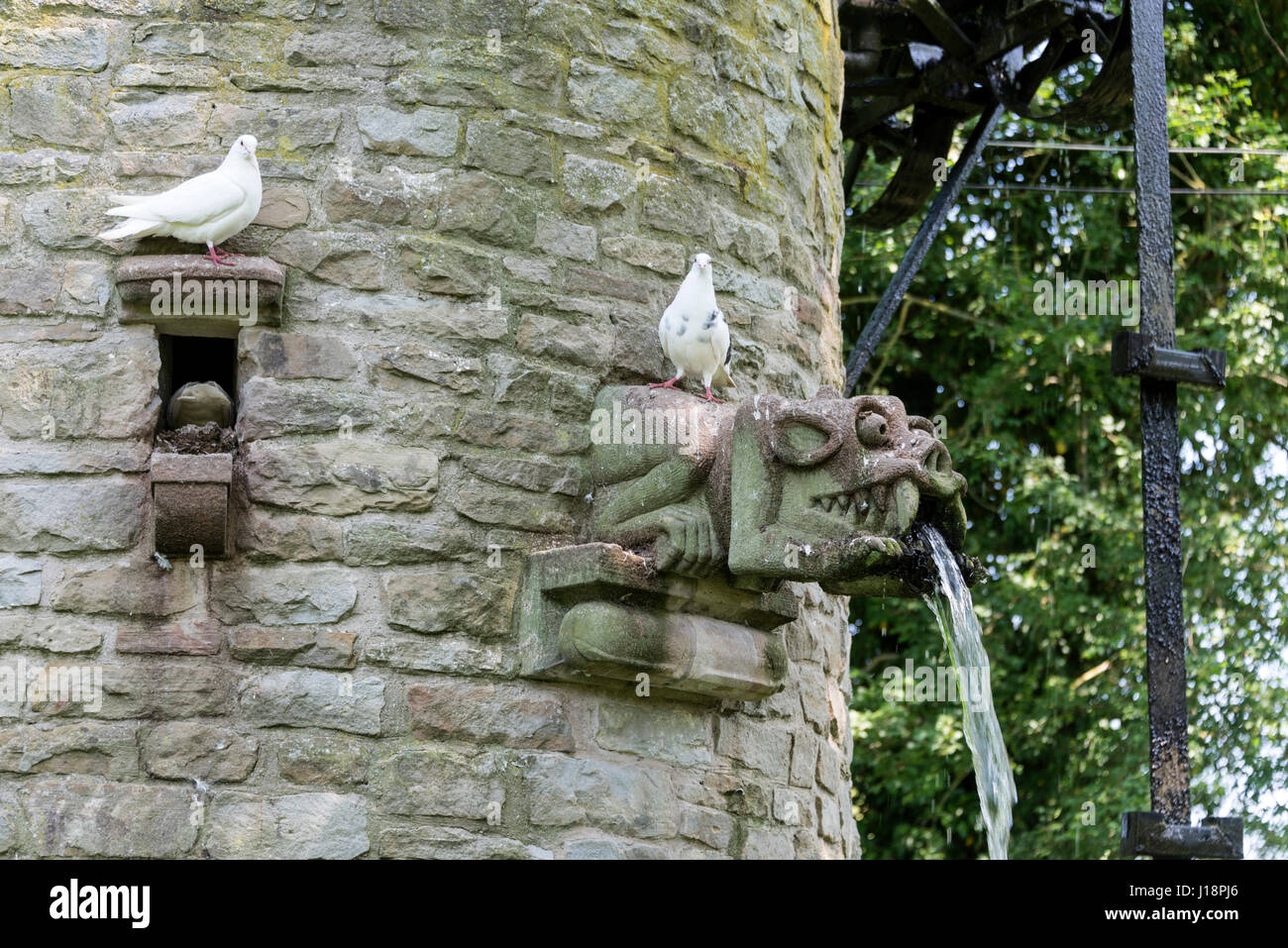 Westonbury Mill Water Garden at Pembridge in Herefordshire, Britain