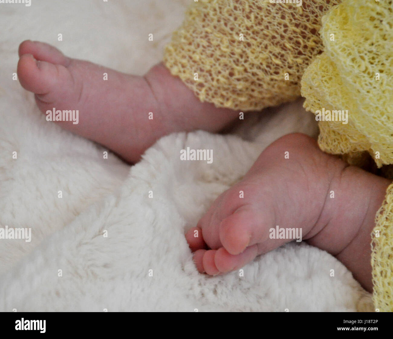 Cute Baby Feet And Tiny Toes Adorable Little Baby Feet Stock Photo