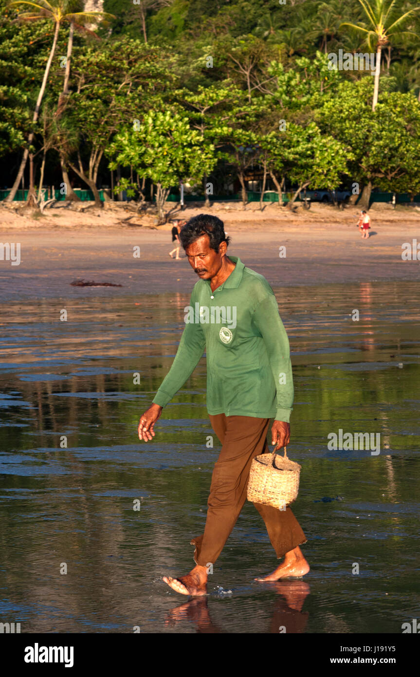 Man at sunset with the low tide looking molluscs in Happy Island, Hat Phra Nang Beach, Railay, Krabi Province, Thailand, Southeast Asia, Asia. Hat Phr Stock Photo