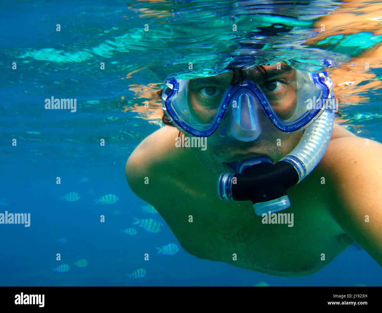 Diving underwater Phi Phi don island. Relax Beach. Phak Nam Bay