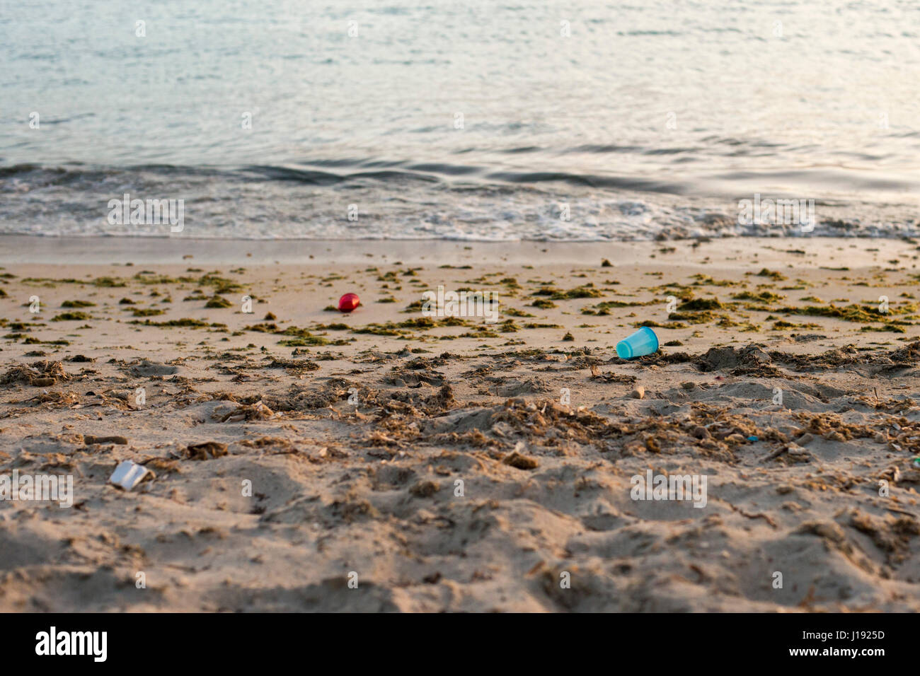 litter on the beach Stock Photo - Alamy