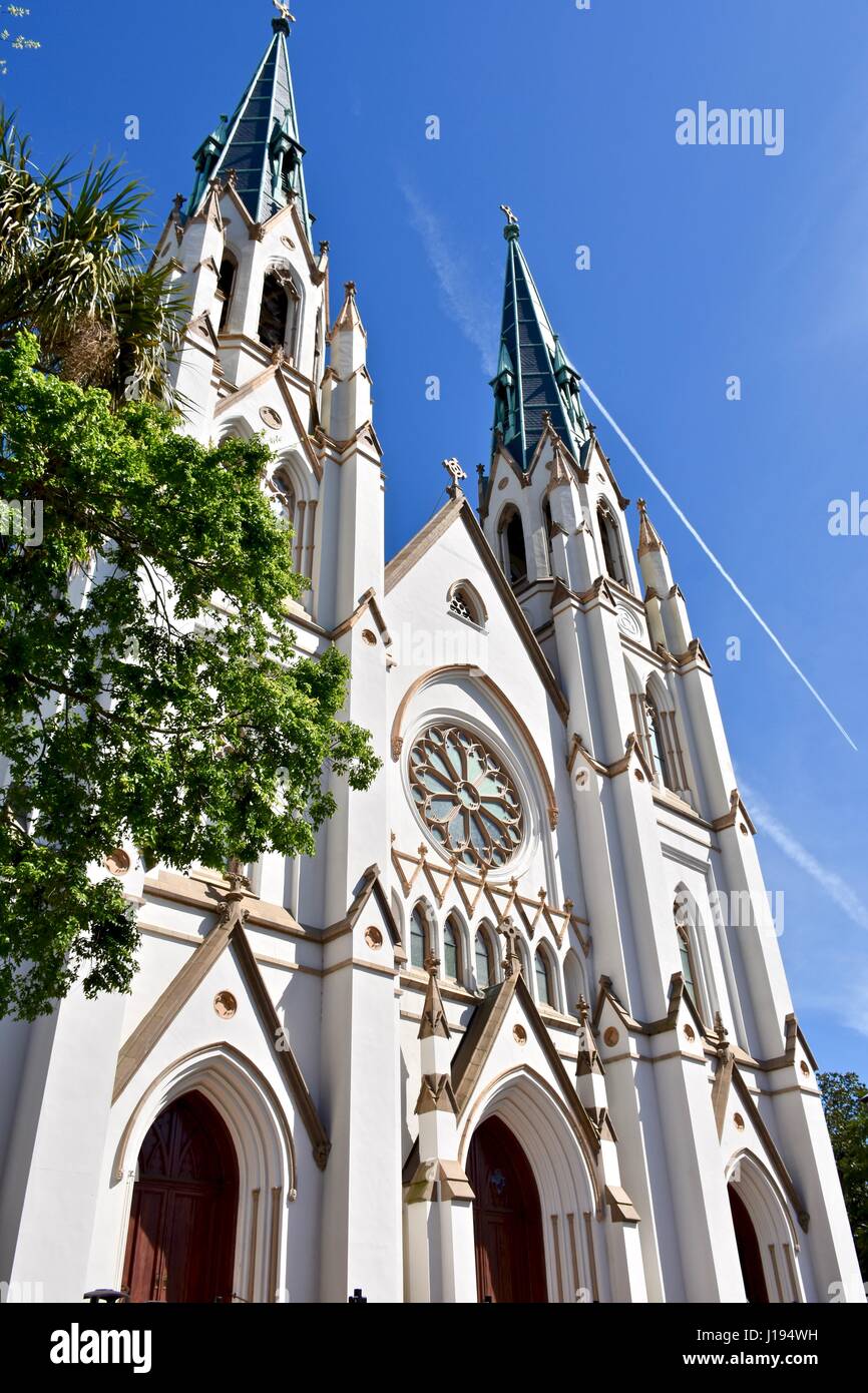 The Cathedral of St. John the Baptist Savannah, Georgia Stock Photo - Alamy