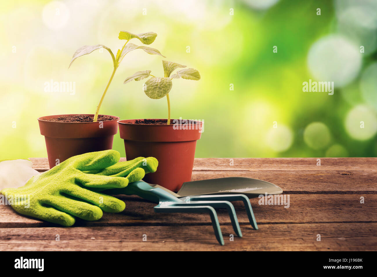 gardening tools and plants on old wooden table in garden Stock Photo
