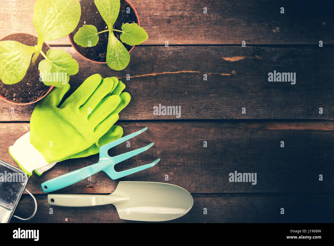 gardening tools and plants on old wooden background with copy space Stock Photo