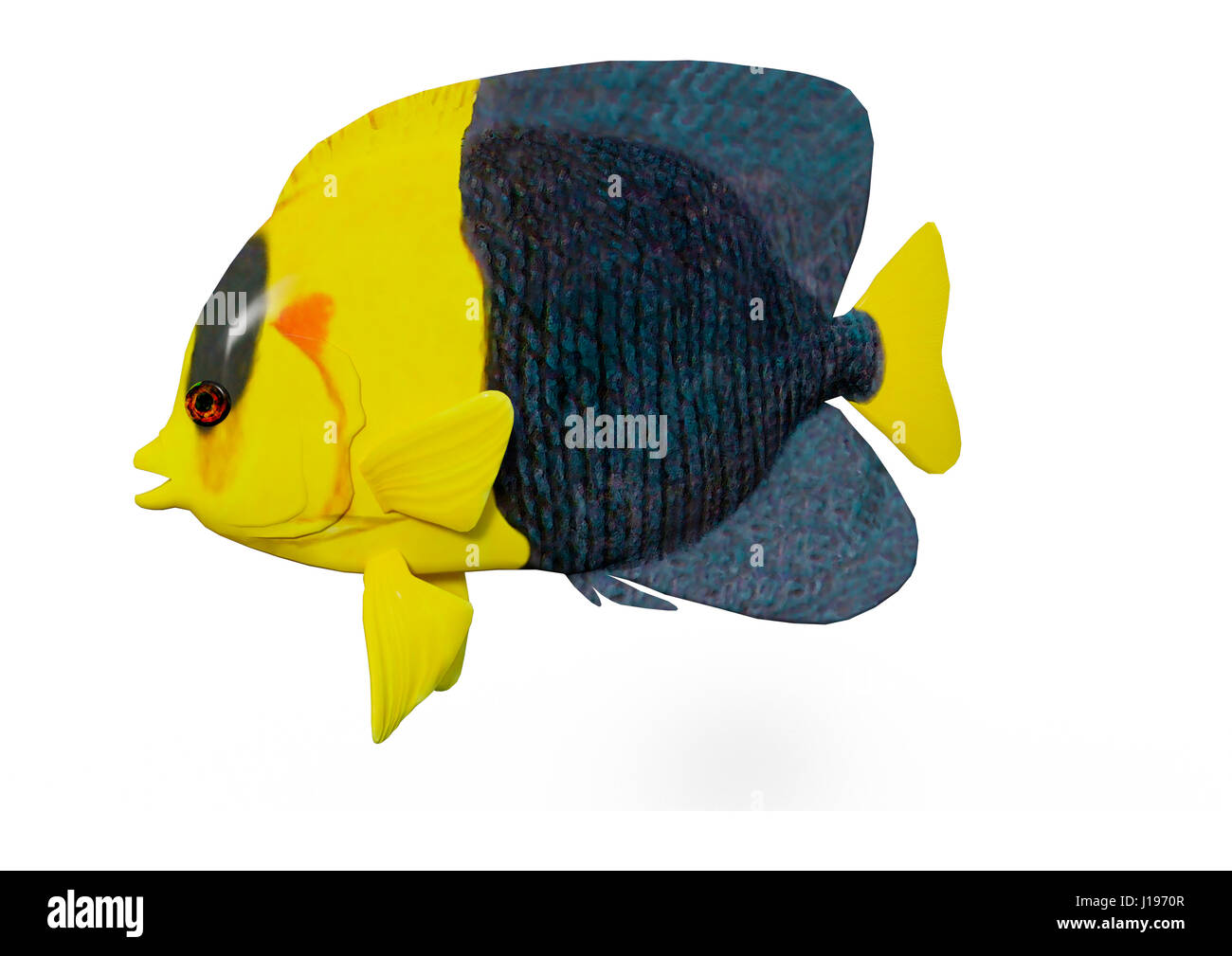 3D rendering of a bicolor or oriole angelfish isolated on white background Stock Photo