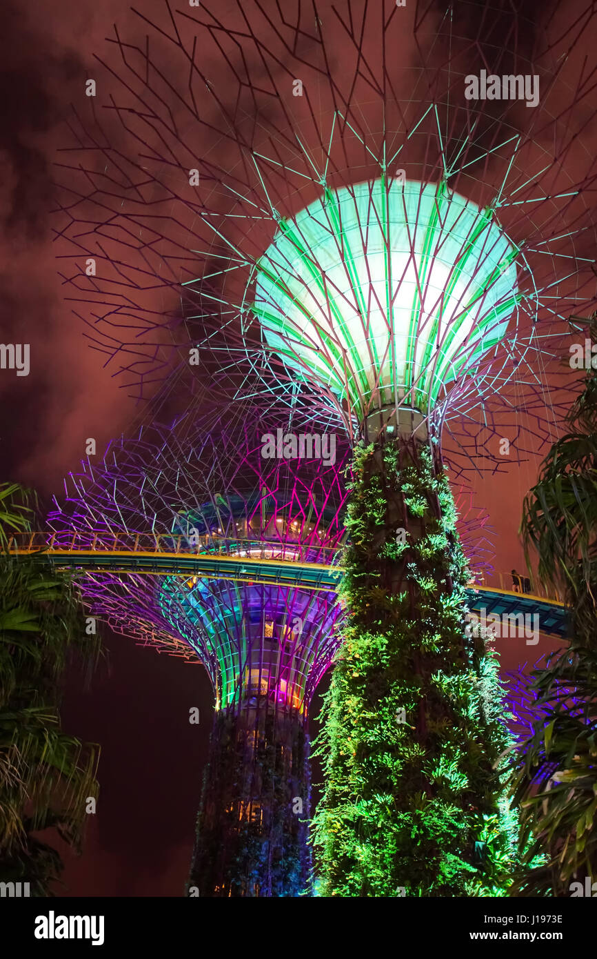 MARINA BAY, SINGAPORE JAN 22, 2017 Landscape of the Gardens by the