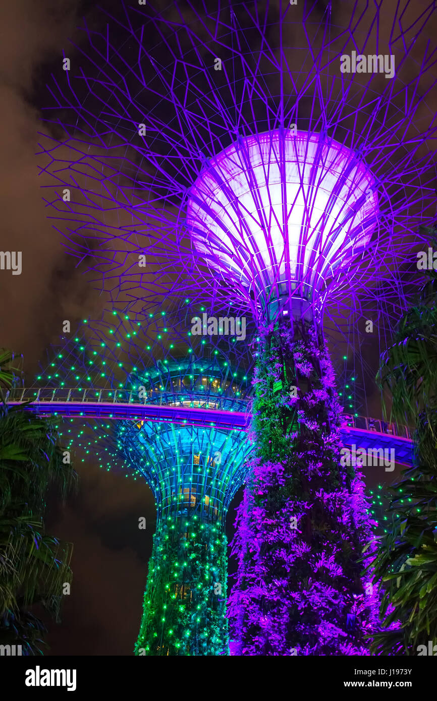 MARINA BAY, SINGAPORE - JAN 22, 2017: Landscape of the Gardens by the Bay Super tree grove light show in Singapore. Stock Photo