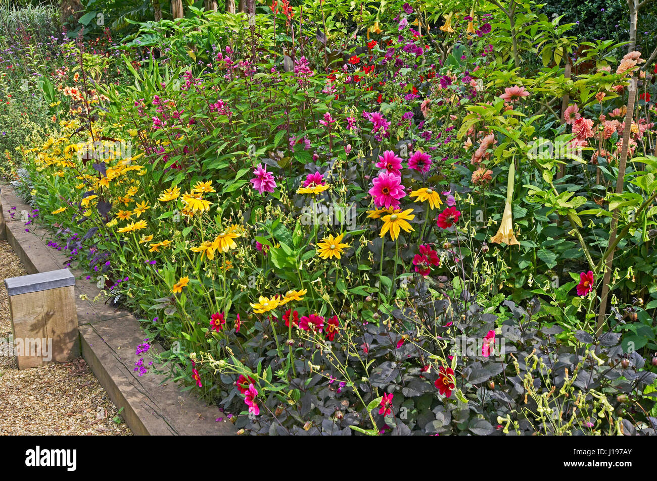 Blue and yellow flower border hi-res stock photography and images - Alamy