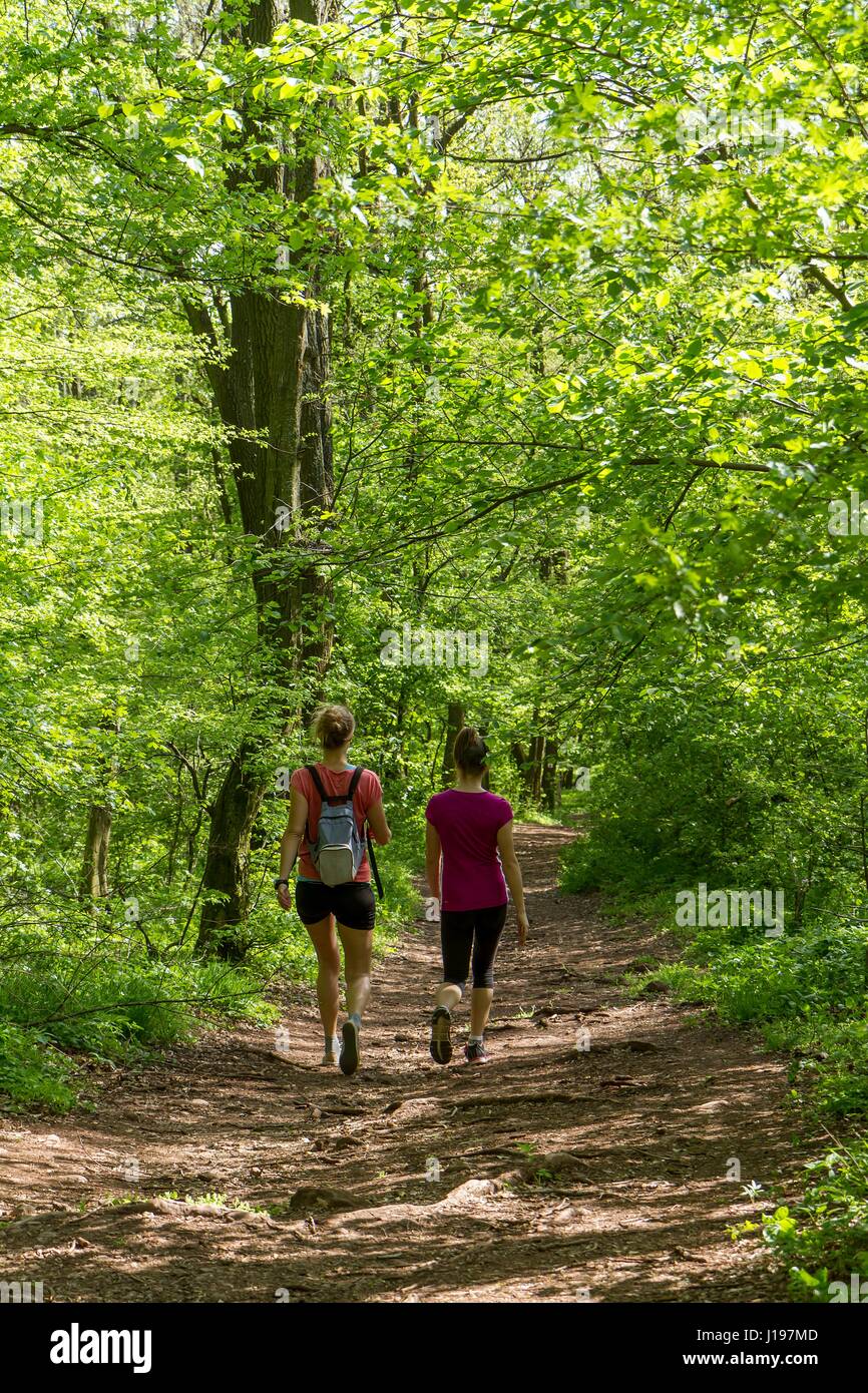 Two oung girl walking in the forest Stock Photo - Alamy