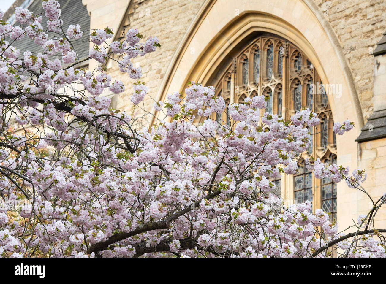 Grove oxfordshire hires stock photography and images Alamy