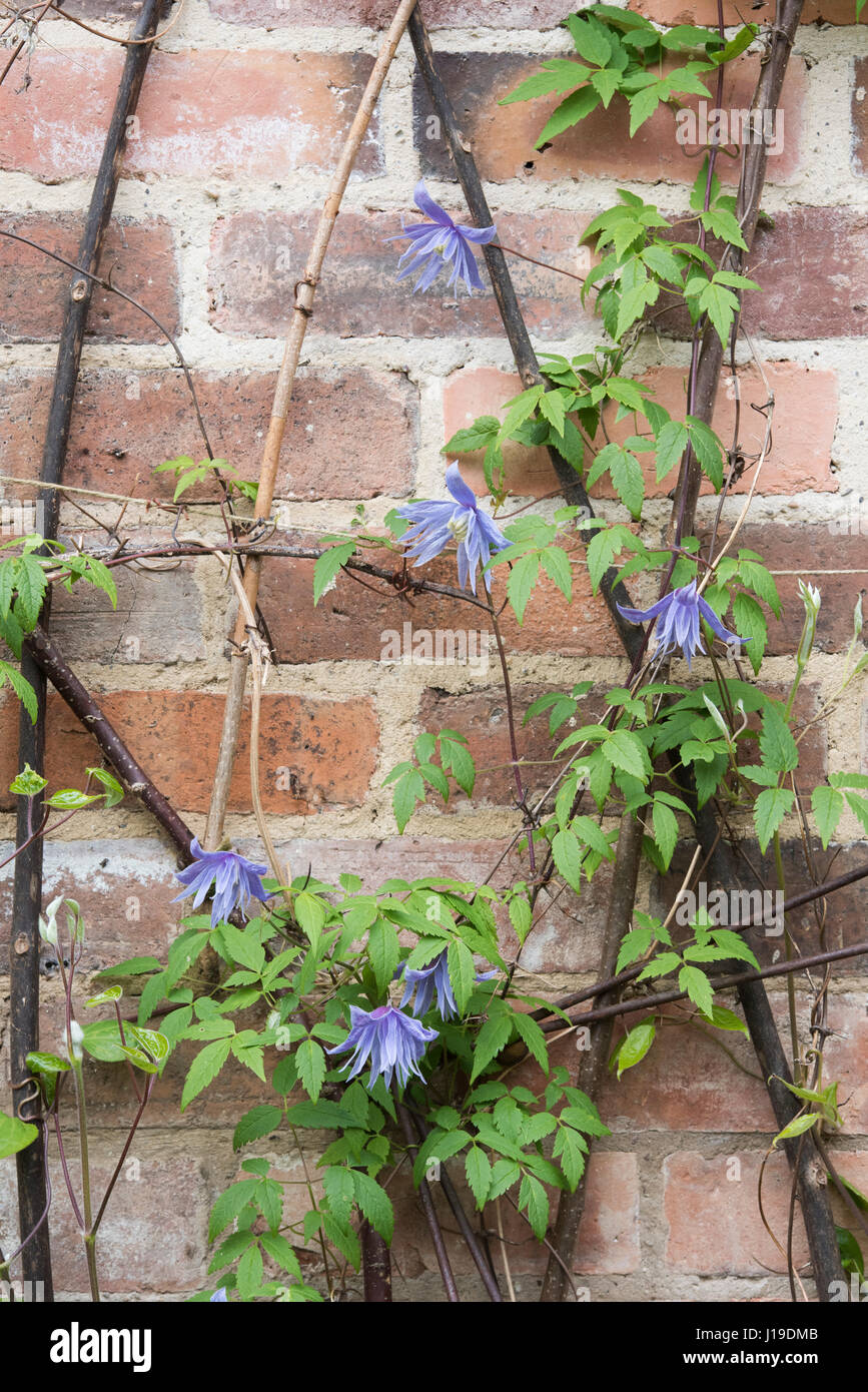 Old brick wall wall support High Resolution Stock Photography and