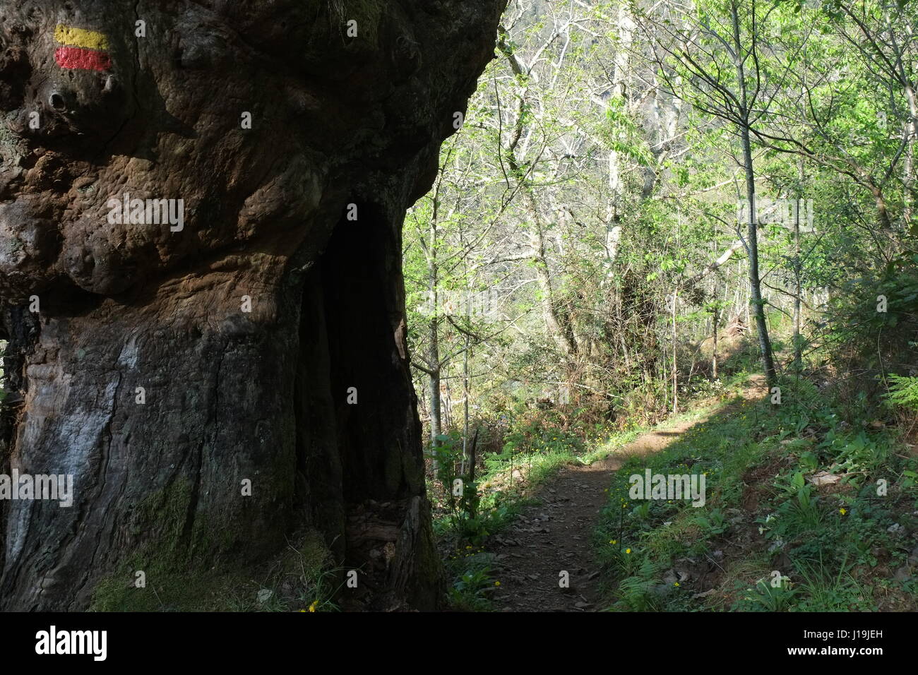 Natural scenery following the hiking trails in Serra da Lousa. Coimbra, Portugal Stock Photo