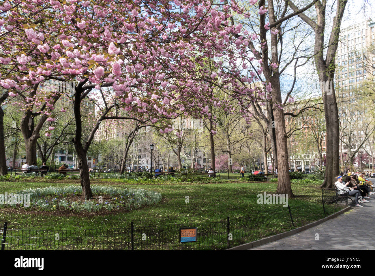 Madison Square Park in Springtime, NYC, USA Stock Photo - Alamy