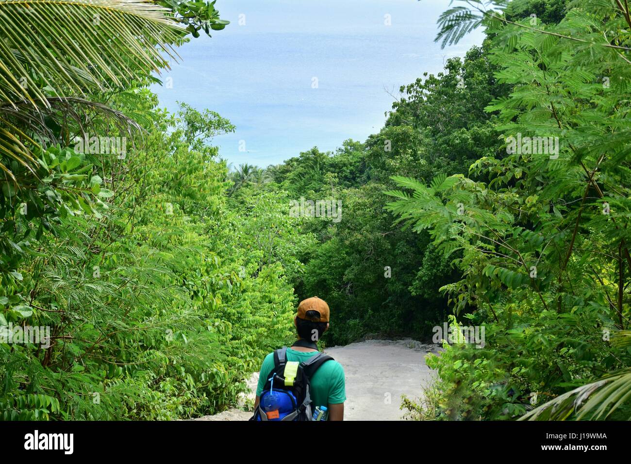 alamy