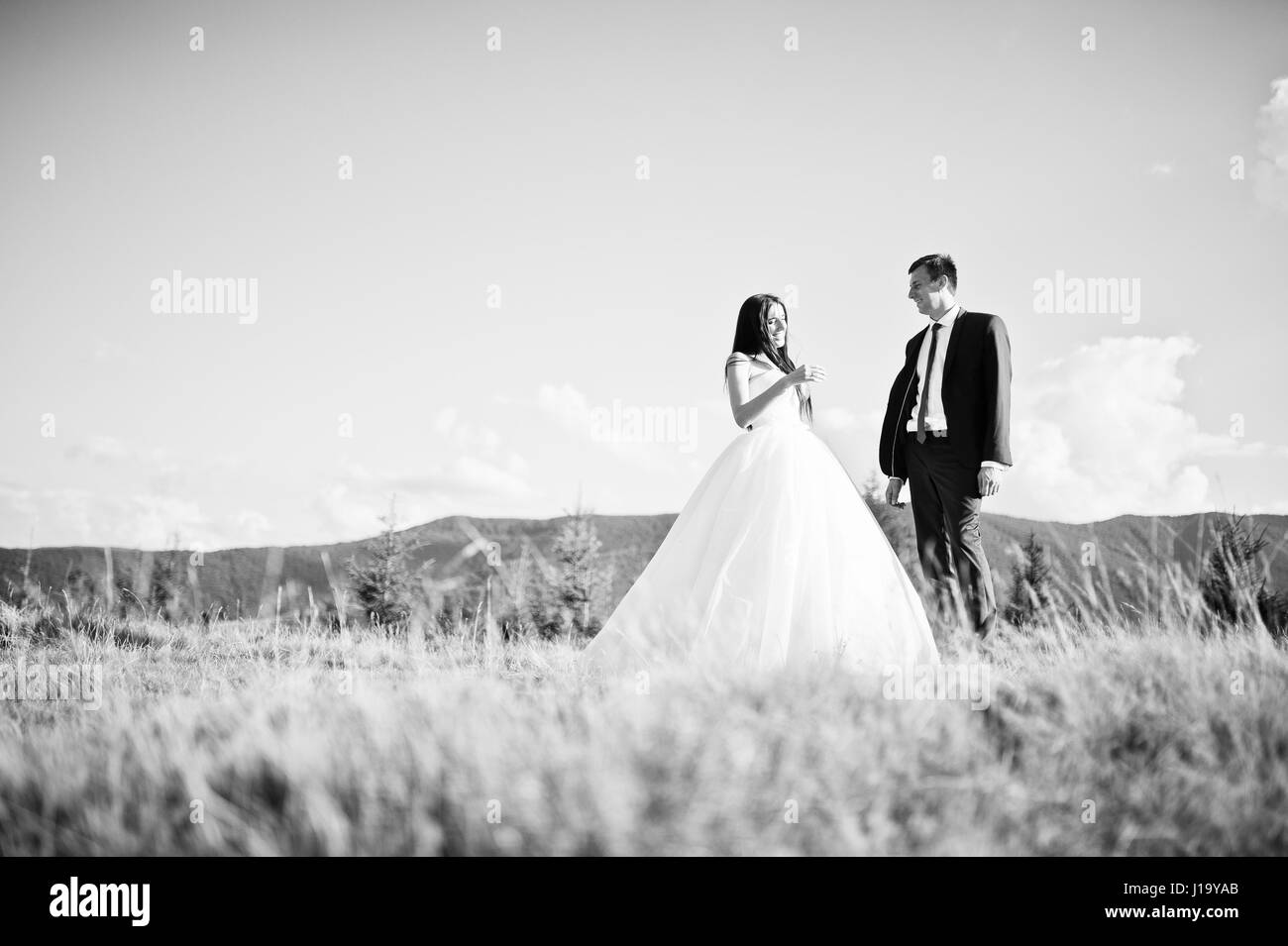 Lovely wedding couple at amazing landscapes of Carpathian mountains. Stock Photo