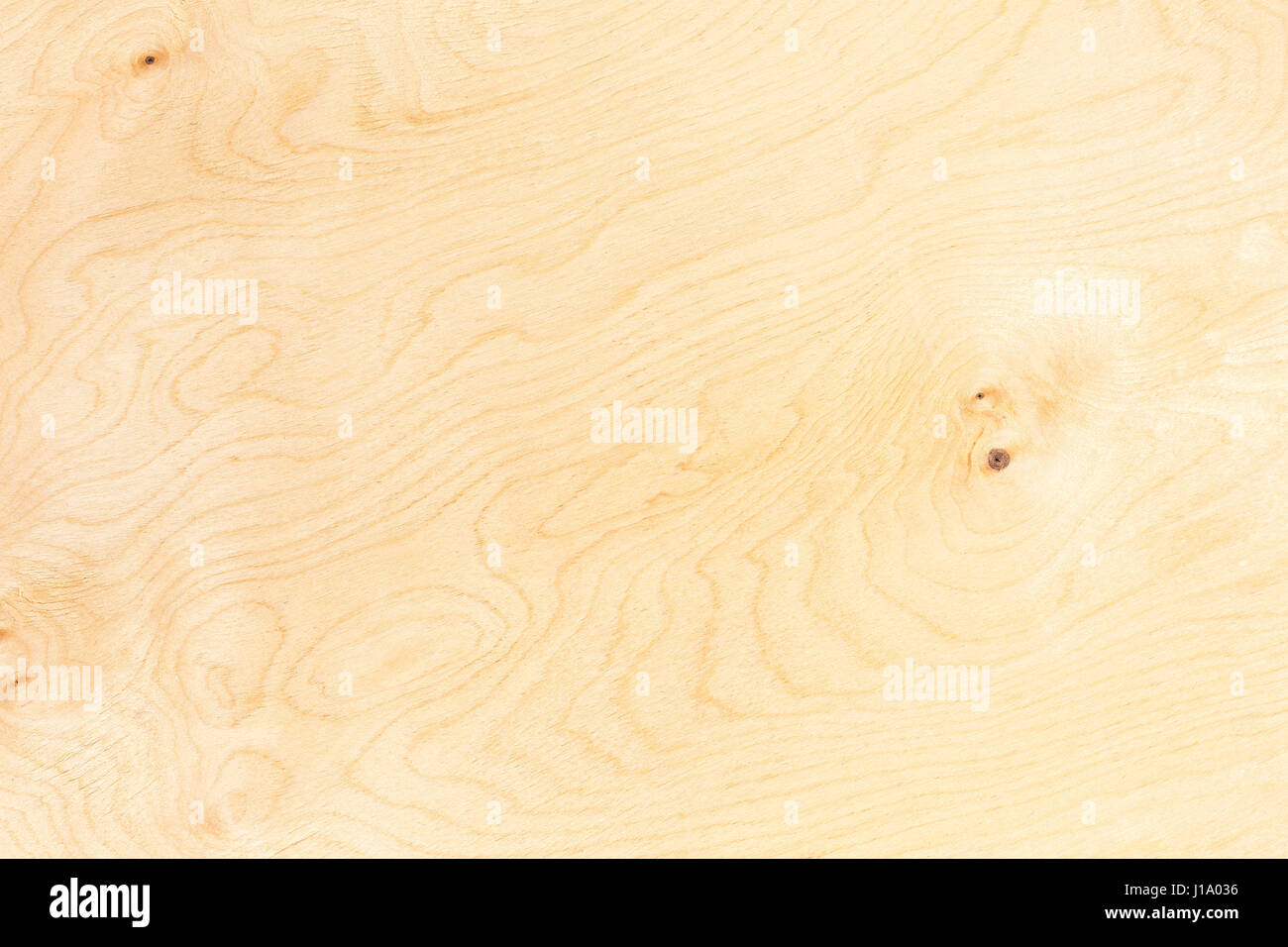 Birch plywood. Highdetailed wood texture series Stock Photo Alamy