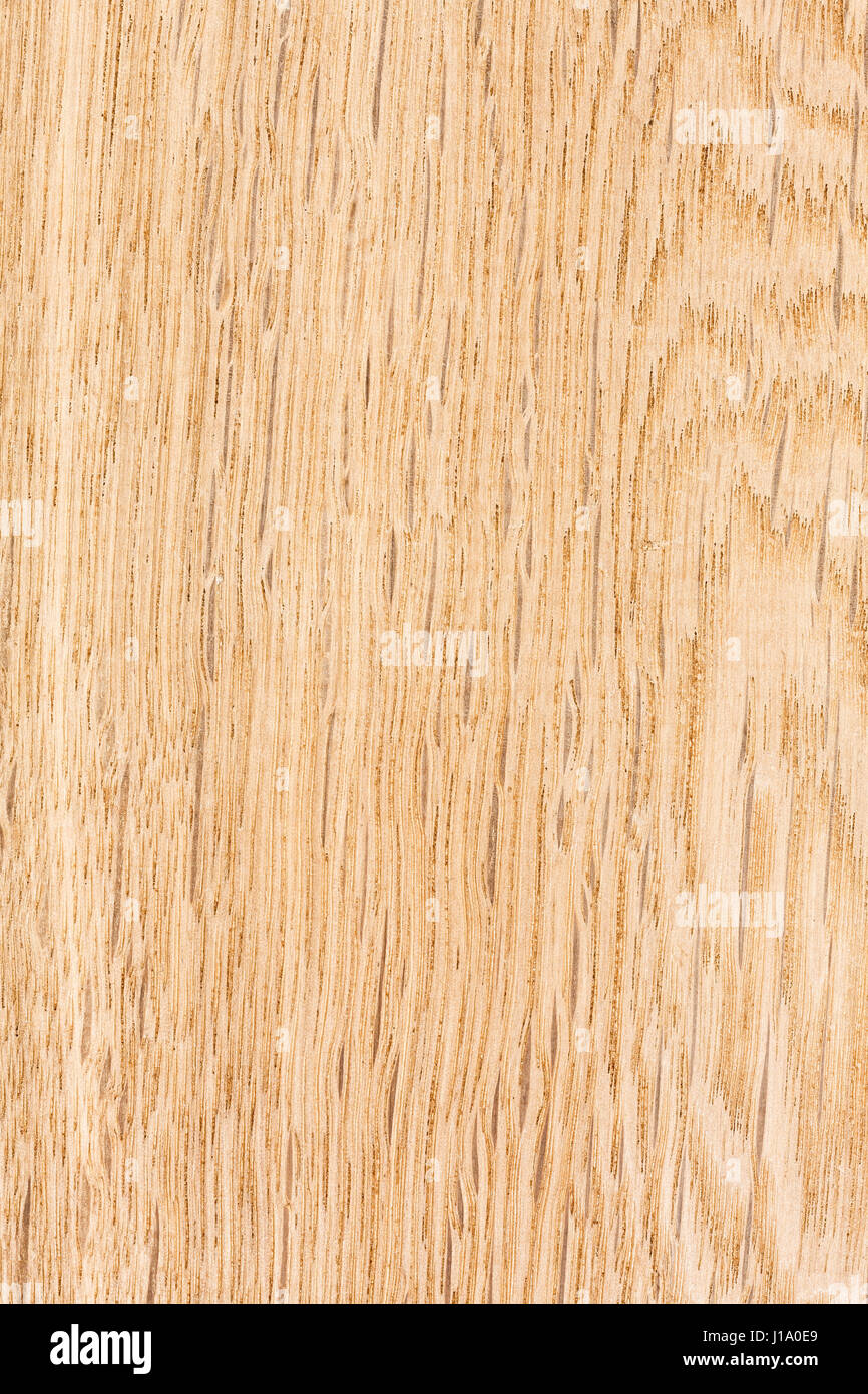 Dark Maple Wood Texture