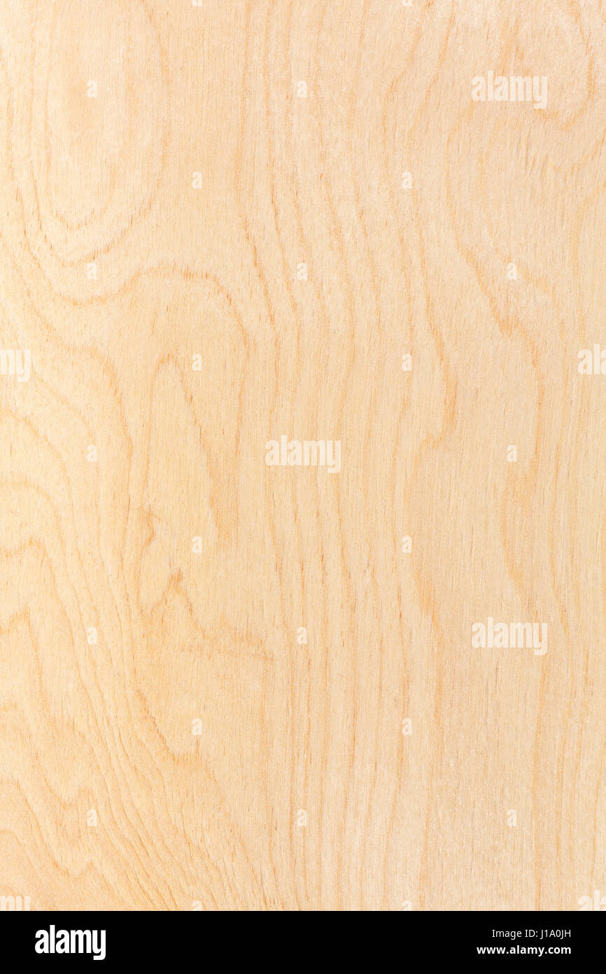 Birch plywood texture hires stock photography and images Alamy