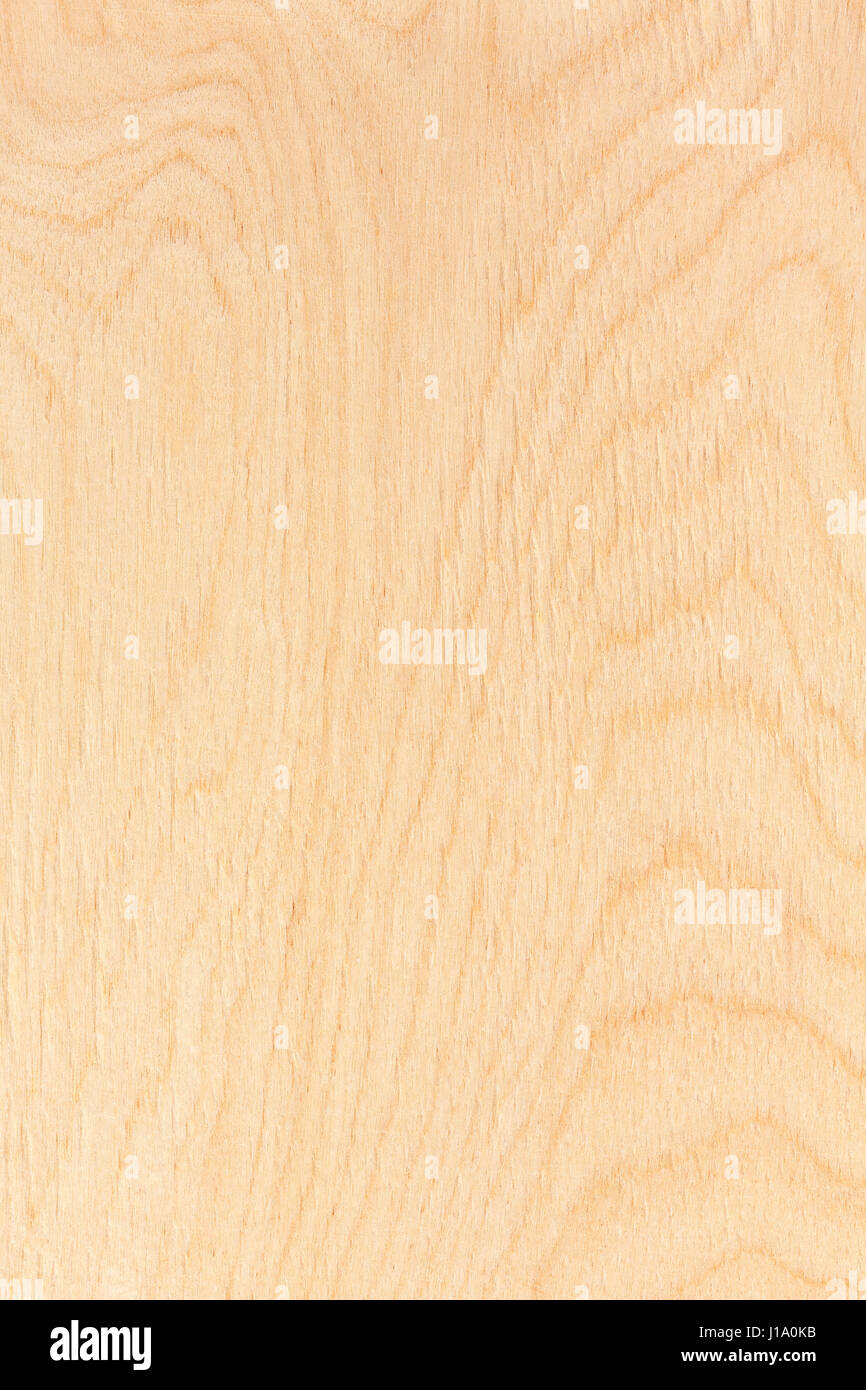 Birch plywood texture hires stock photography and images Alamy