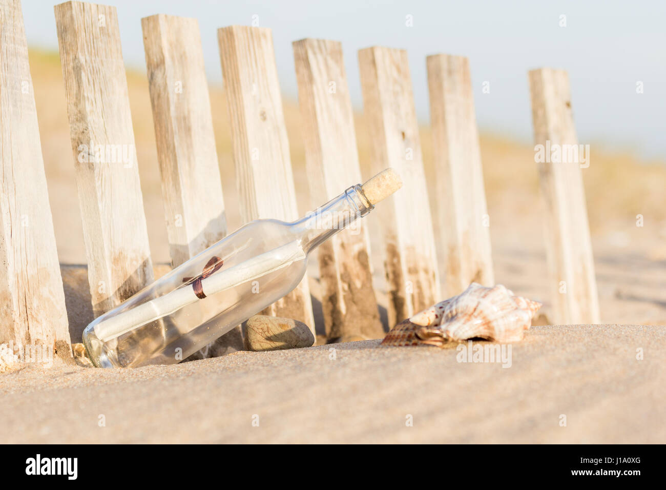 Seashell message hi-res stock photography and images - Alamy