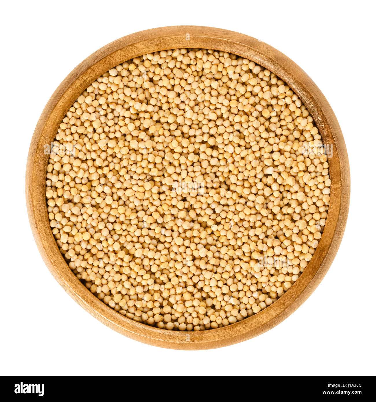 Yellow mustard seeds isolated hires stock photography and images Alamy