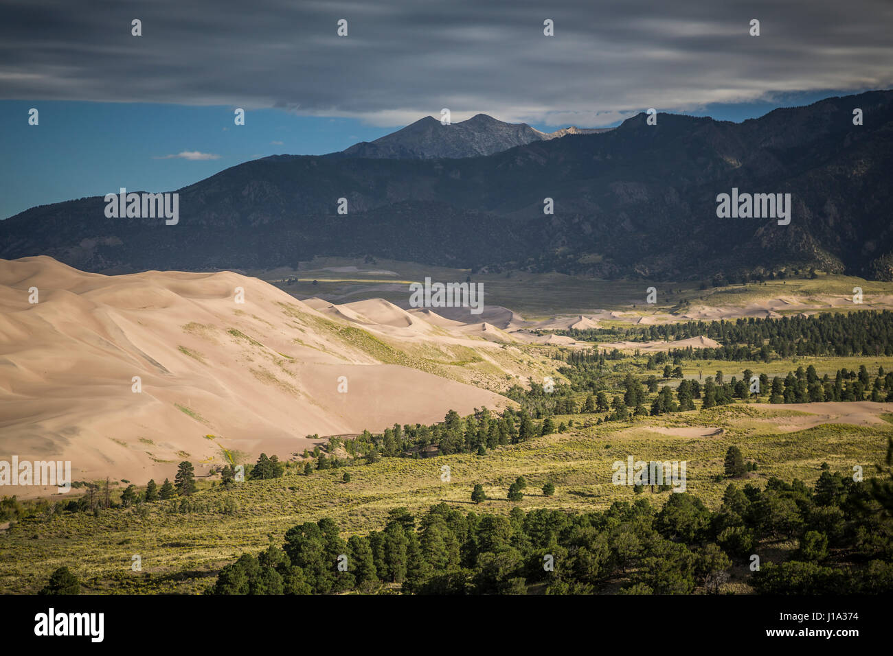Great Sand Dunes National Park and Preserve, Colorado. Stock Photo