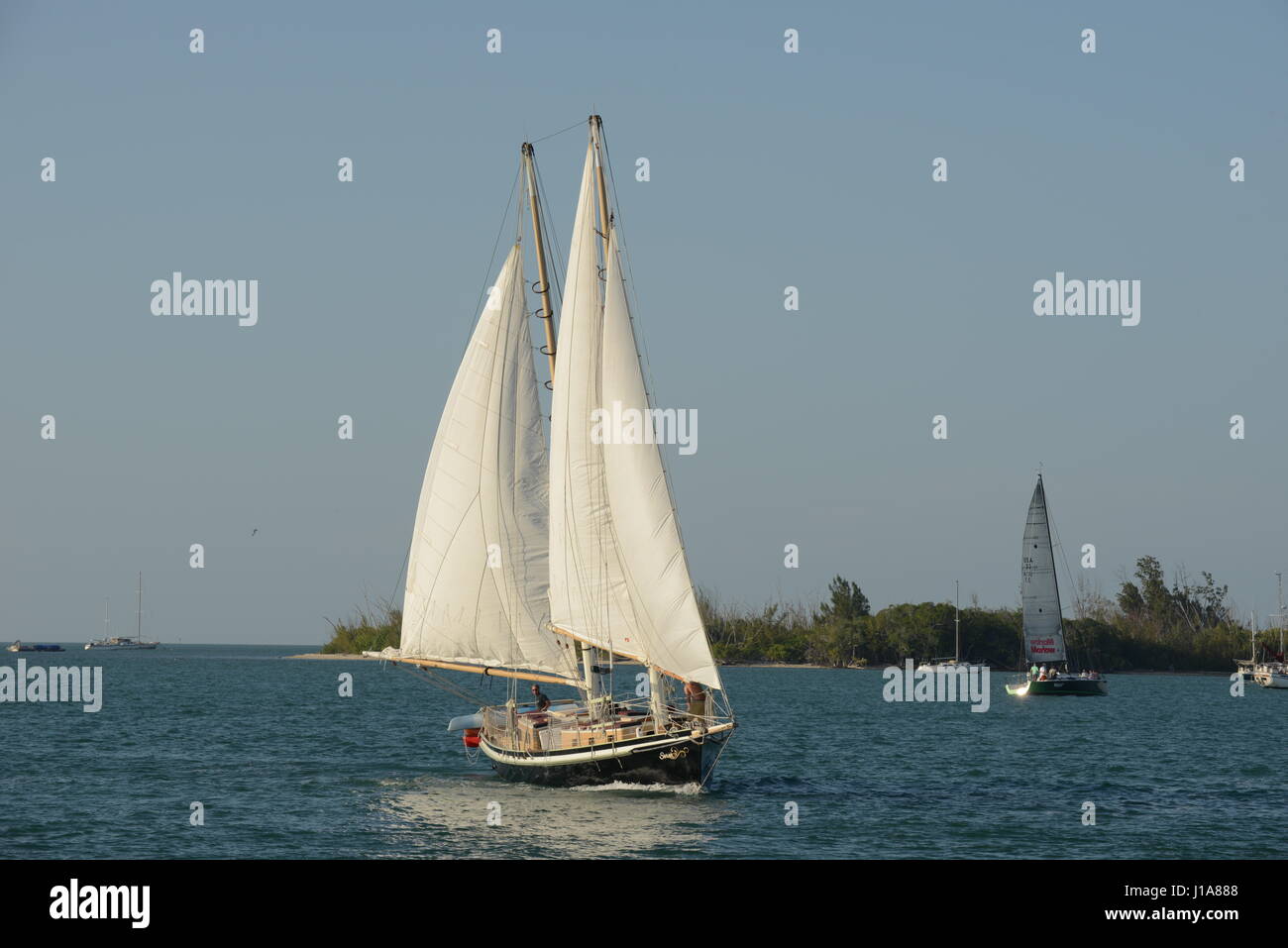 key west Florida USA sailboats Stock Photo