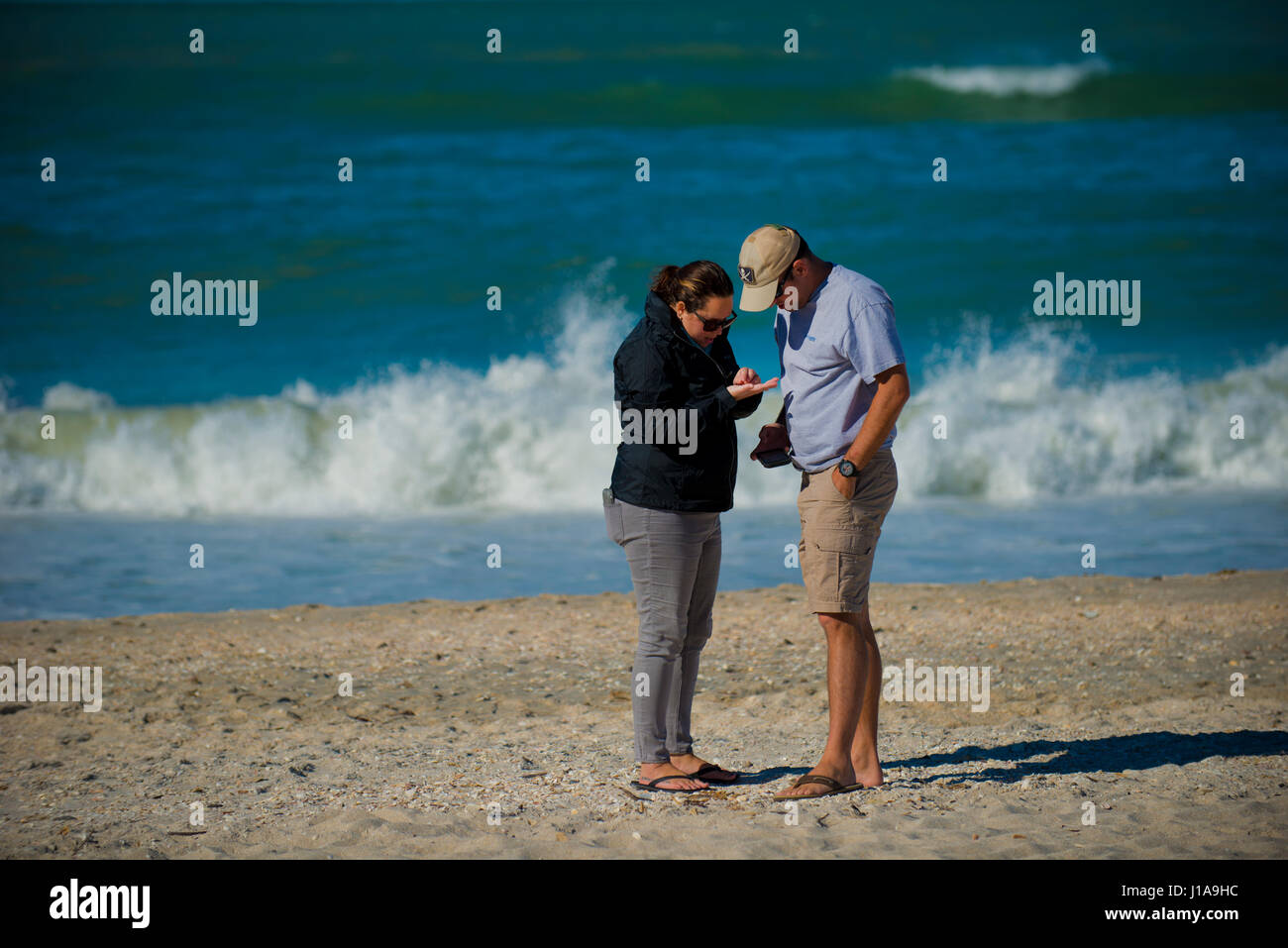 people on beach looking for sea shells Stock Photo