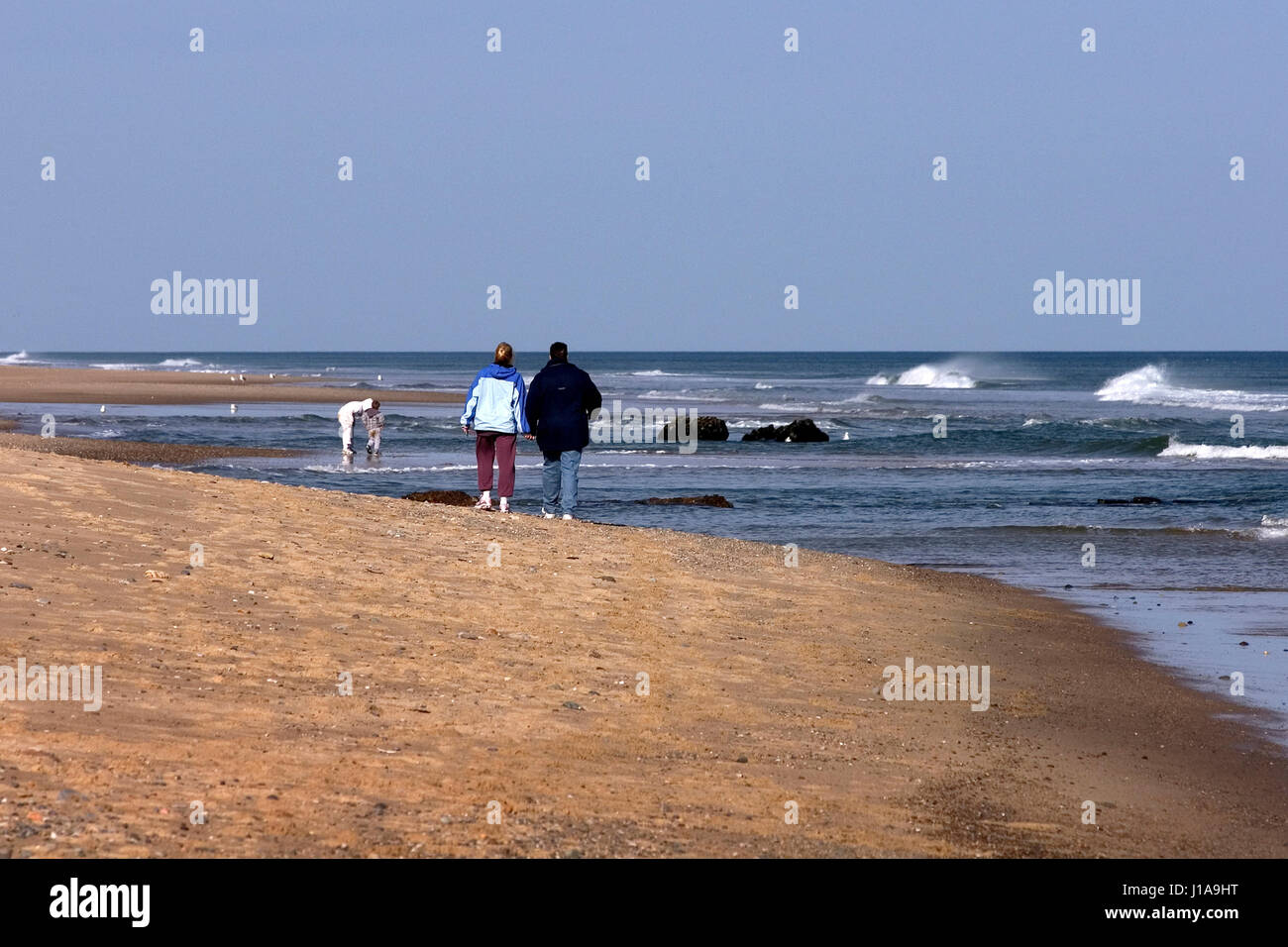 Walking Nauset Beach on a mild November Day, Eastham, Massachusetts on