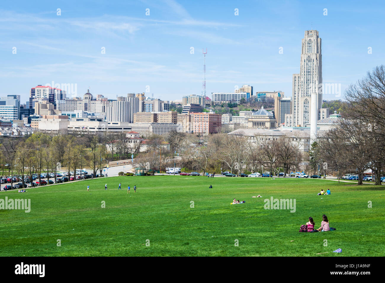 Skyline of Pittsburgh, Pennsylvania from Schenley Park Stock Photo Alamy
