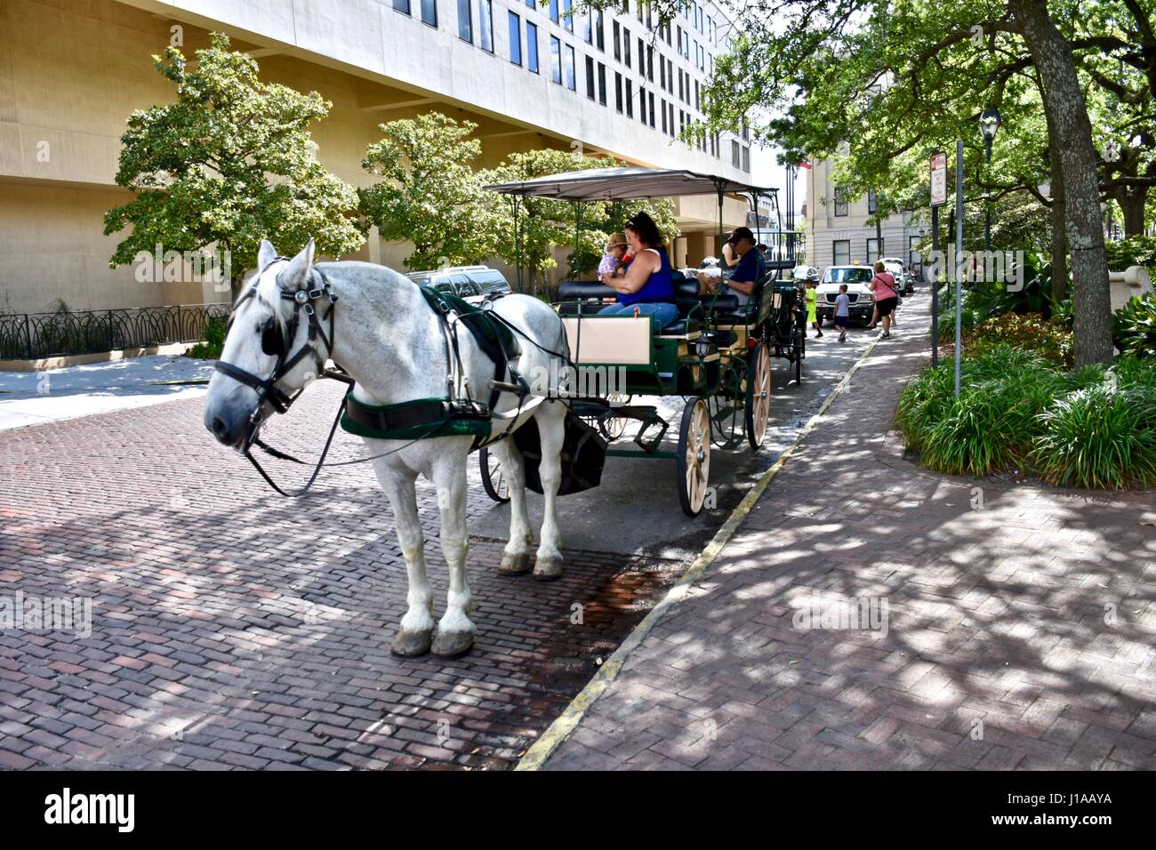 Horse carriage tours Stock Photo Alamy