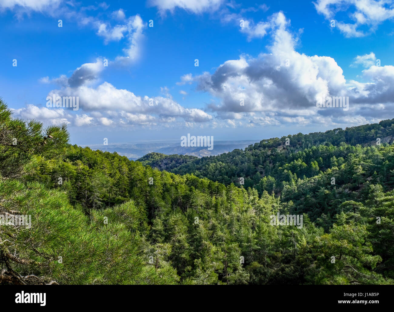 View from the top of Troodos Mountain in Cyprus in Spring Stock Photo