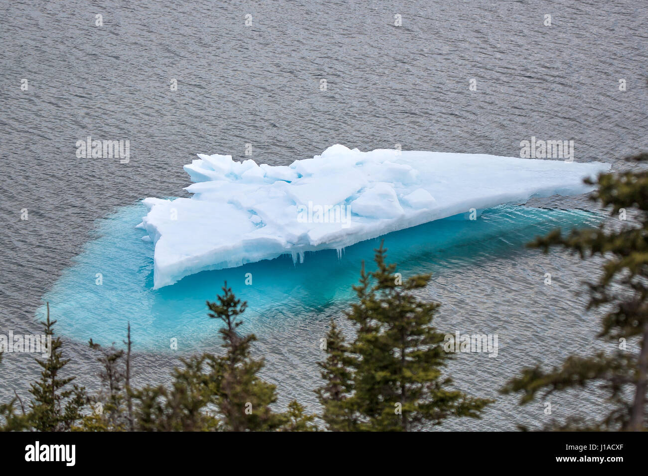 April 18th, 2017 Small iceberg ( bergy bit) Credit: Gerry Whelan/Alamy ...