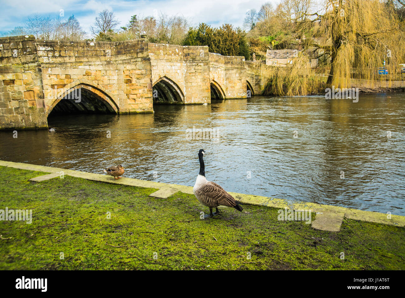 relaxing on the river Stock Photo - Alamy