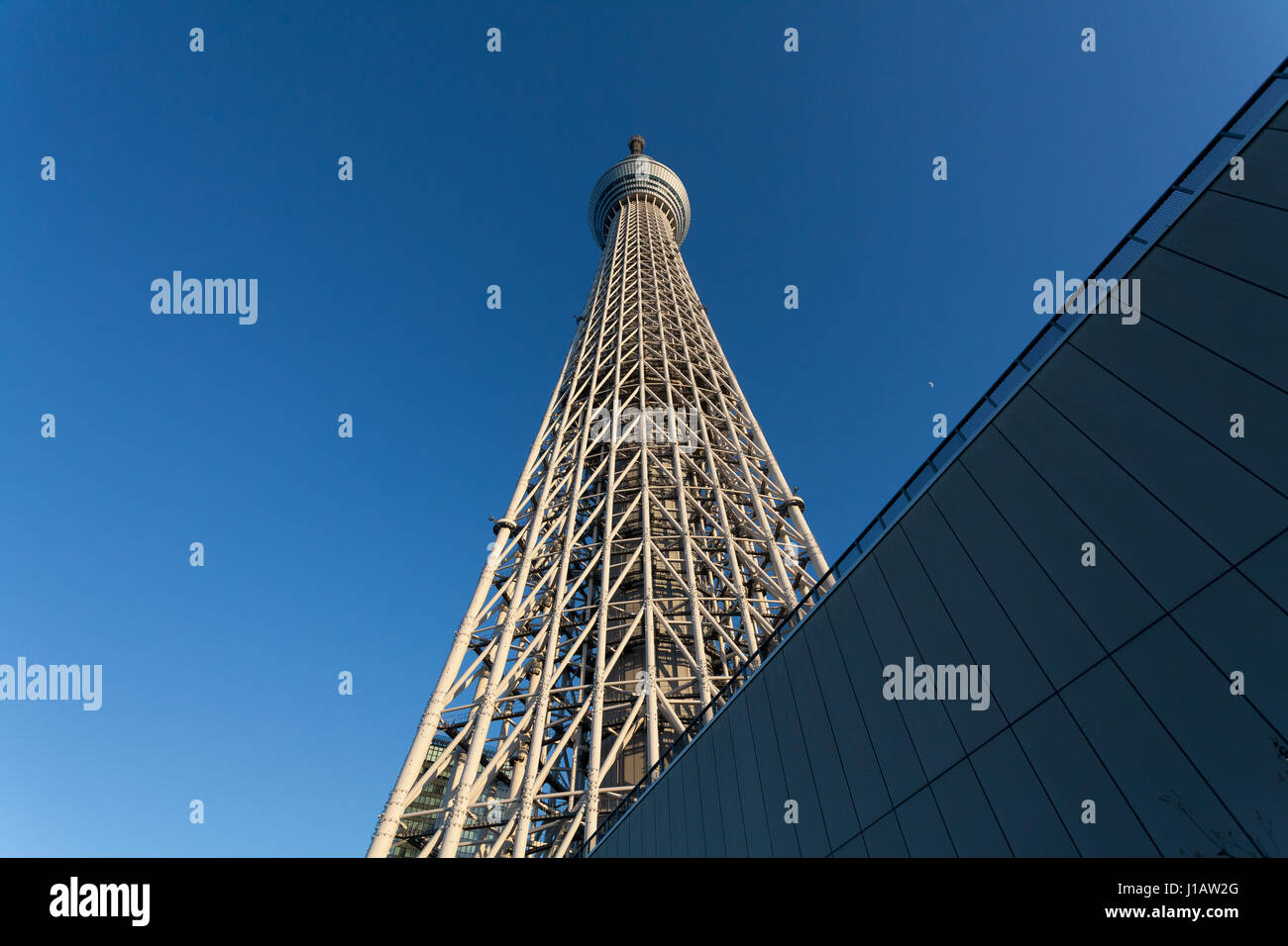 Tokyo Skytree towering over Oshiage, Tokyo, Japan Stock Photo - Alamy