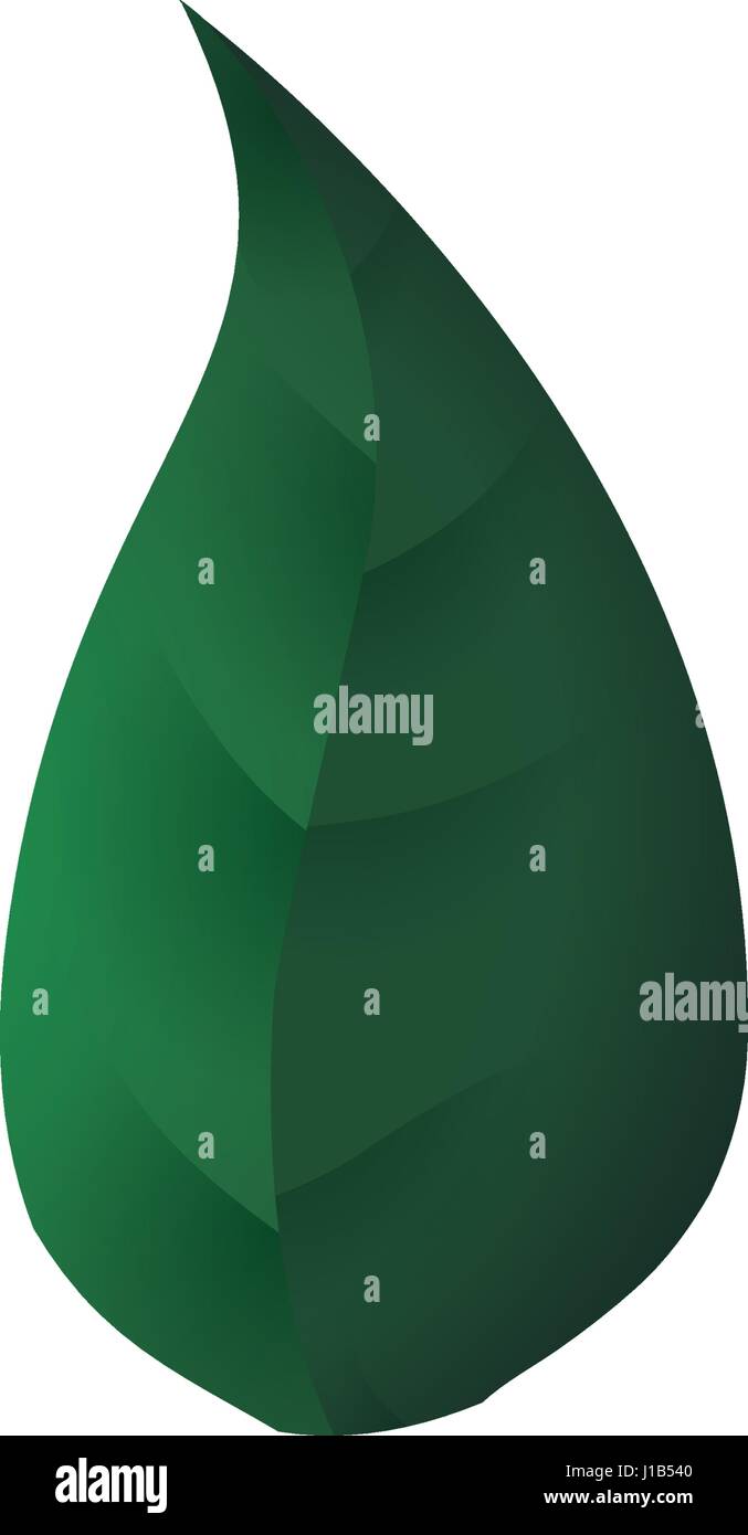 Leaf natural ecology Stock Vector Image & Art - Alamy