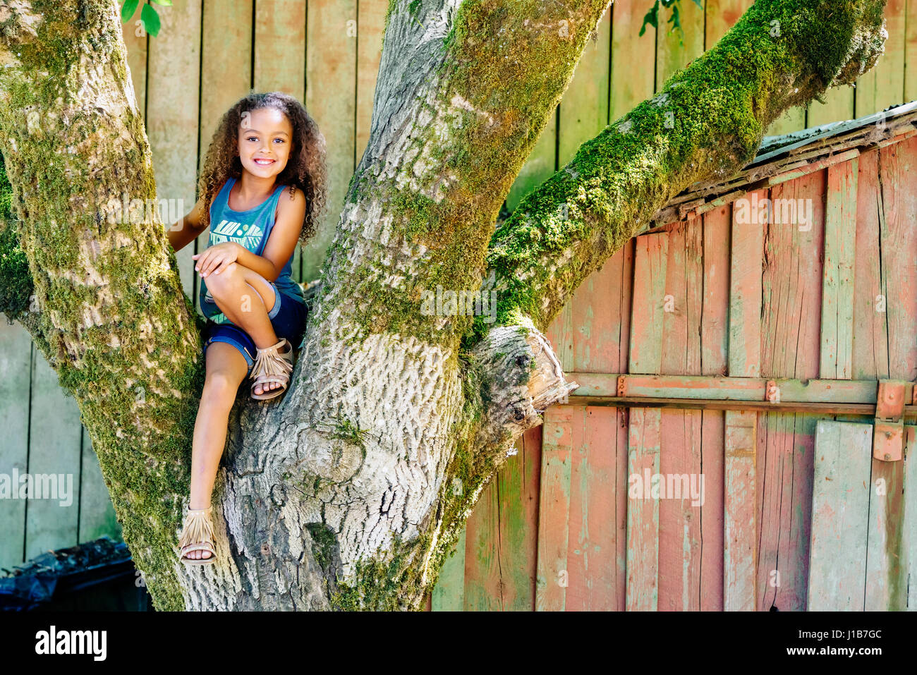 Mixed Race girl sitting in tree Stock Photo