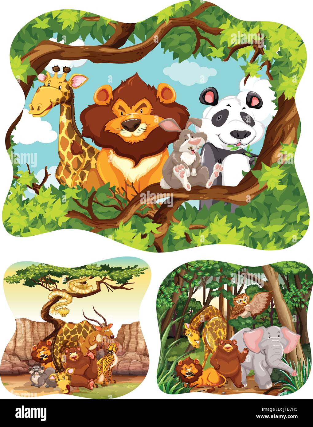 Wild animals in forest illustration Stock Vector Image & Art - Alamy