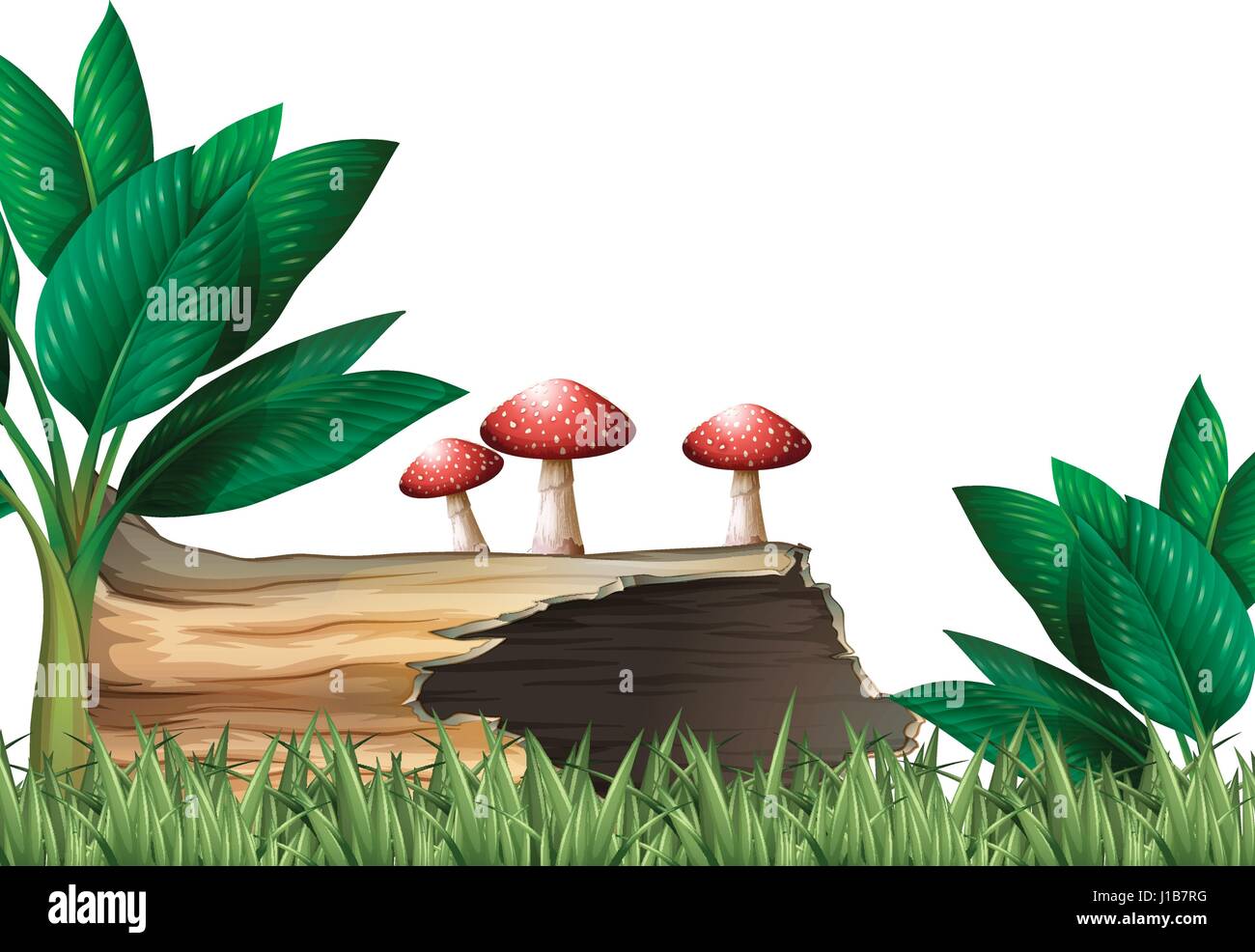 Garden scene with log and mushrooms illustration Stock Vector